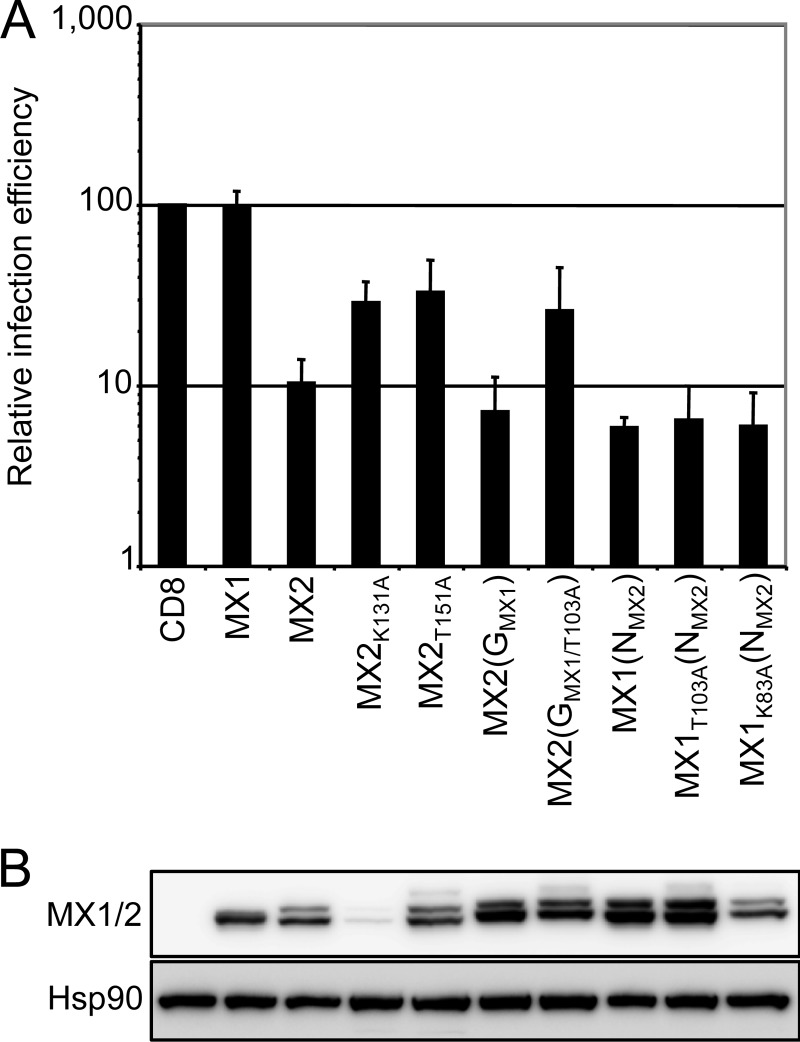 FIG 4