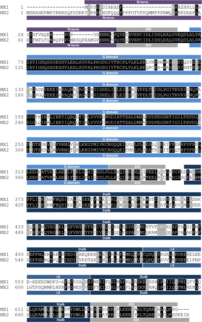 FIG 1