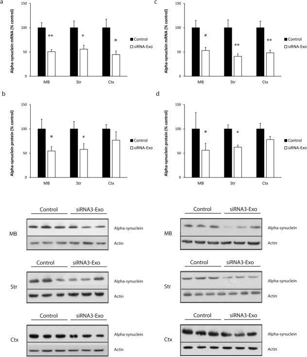 FIG 2