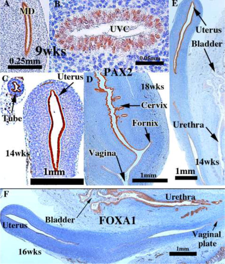 Figure 16