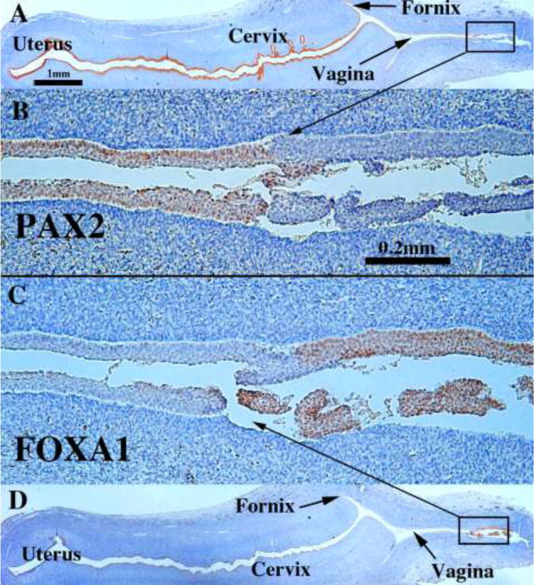 Figure 19