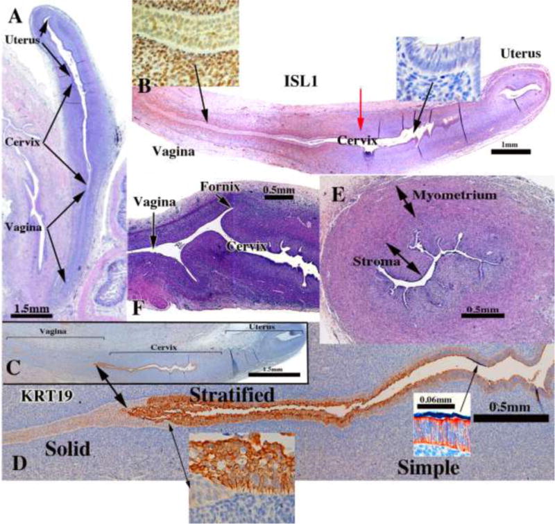 Figure 14