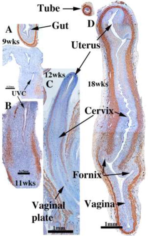 Figure 13