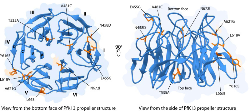 FIG 2