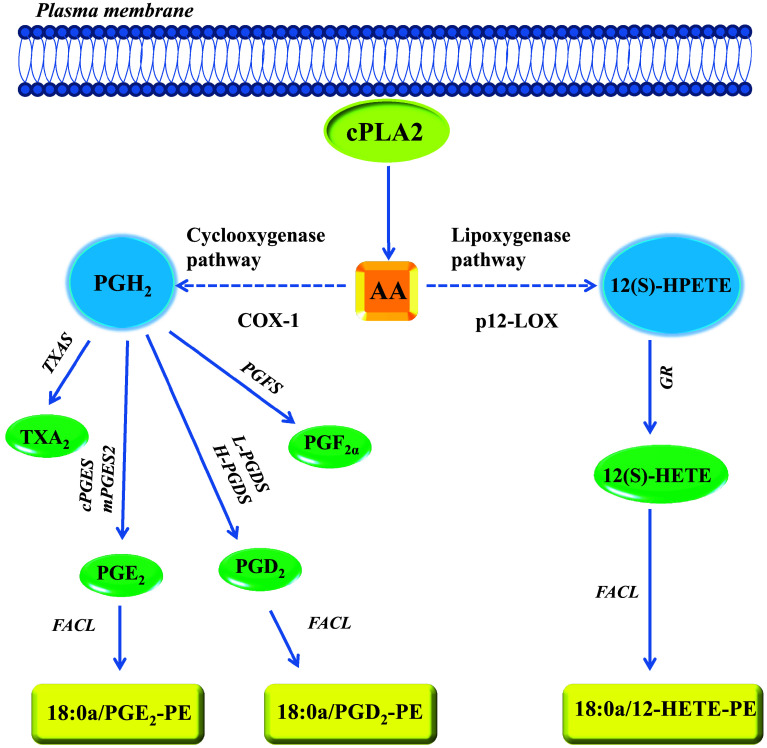 Fig. 2