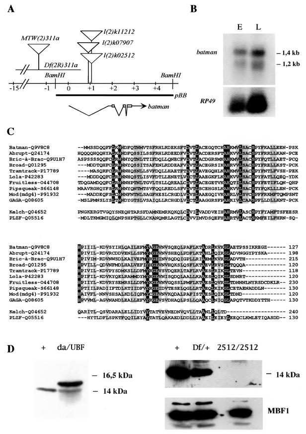 FIG. 1.