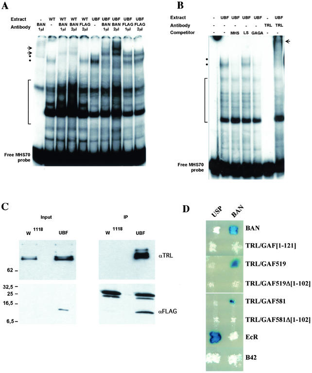 FIG. 6.