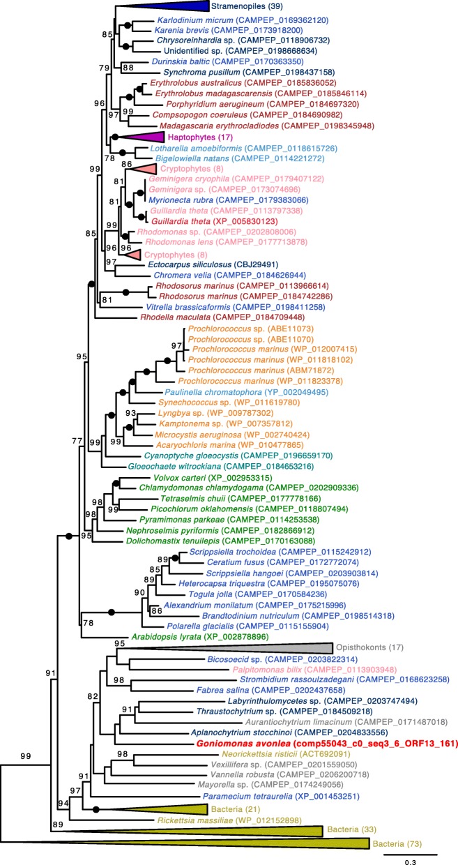 Fig. 3