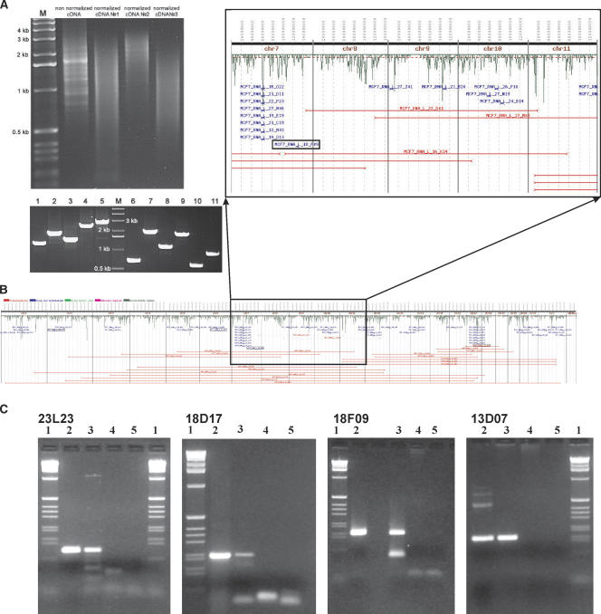 Figure 3.