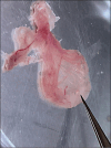 Fig. 6.
