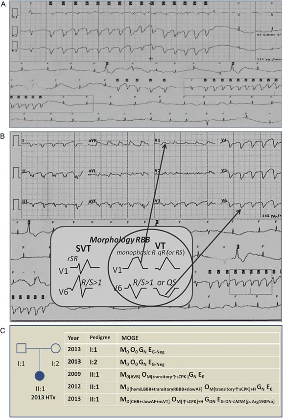 Figure 1: