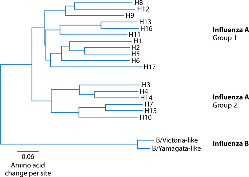 FIG 10