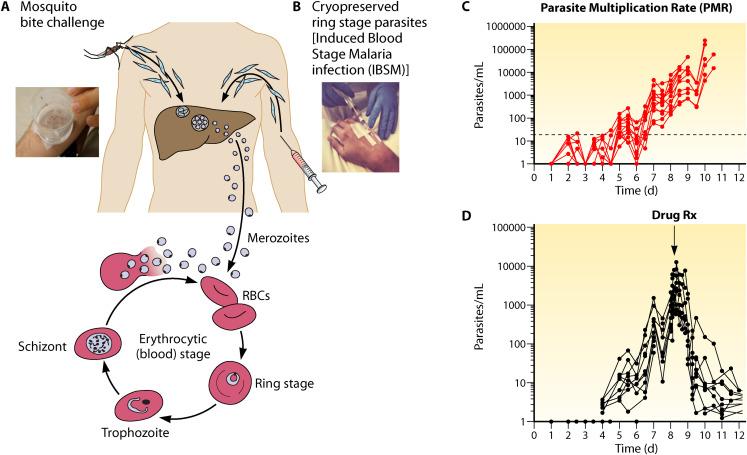 FIG 4