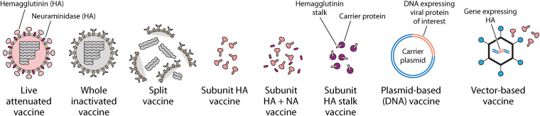 FIG 12