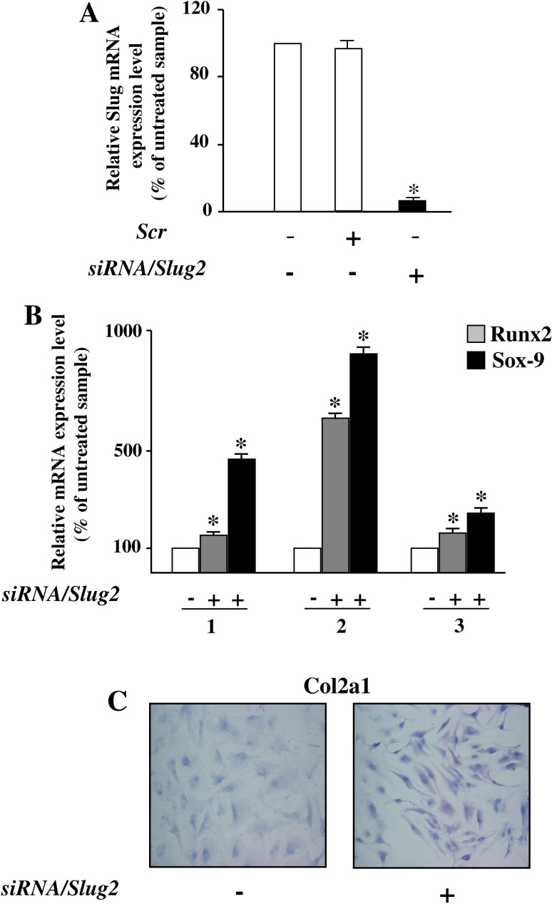 Fig. 6