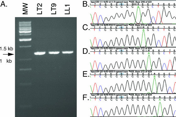 FIG. 4.