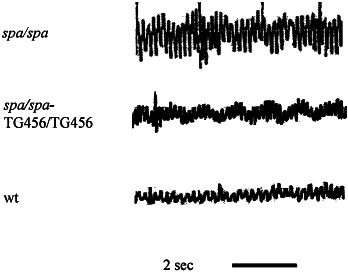 FIG. 4