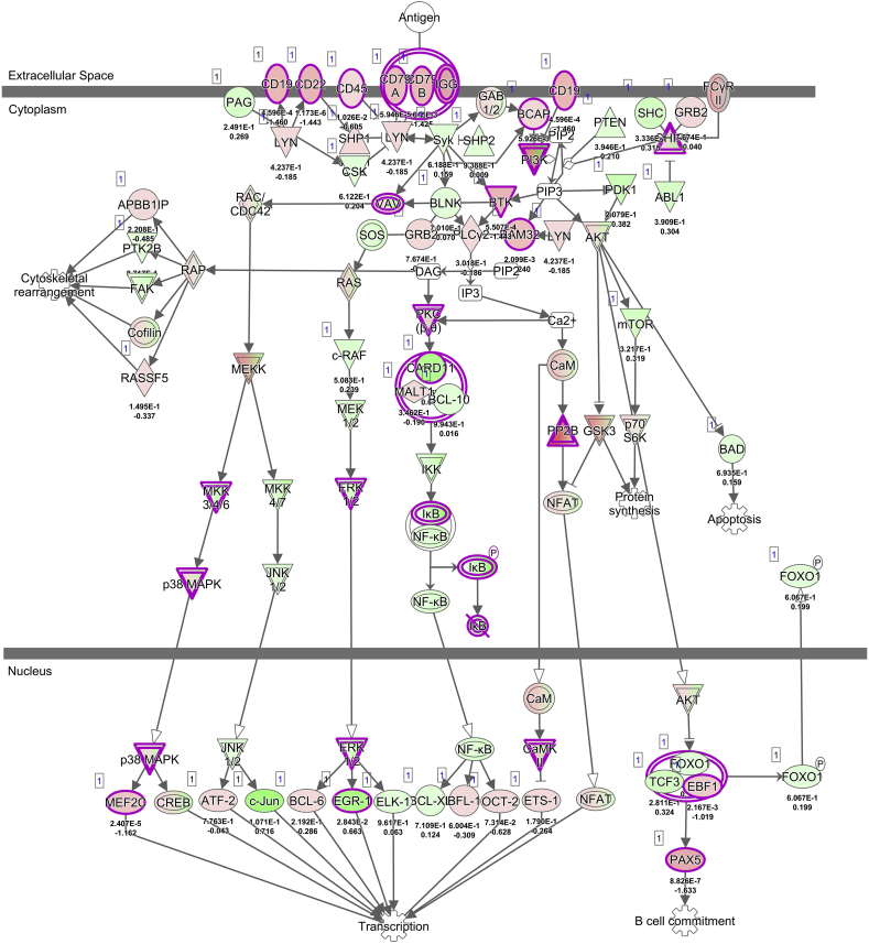 Supplementary Fig. 3