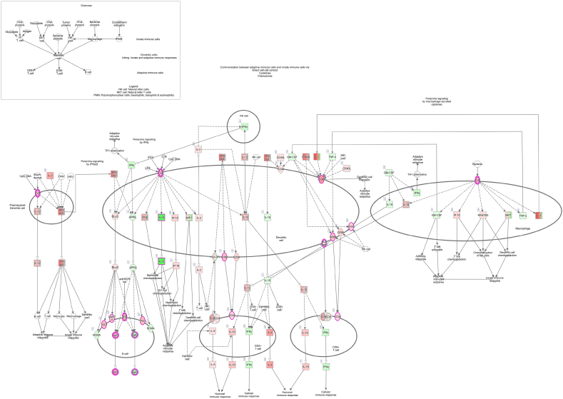 Supplementary Fig. 4