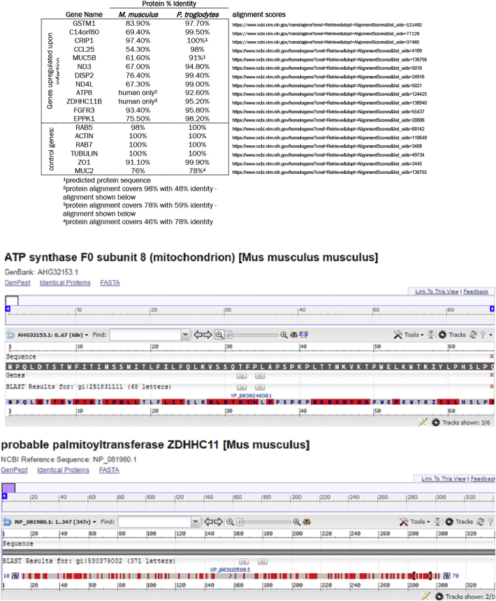 Supplementary Fig. 5