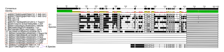 graphic file with name 12250_2015_3643_Figa_HTML.jpg