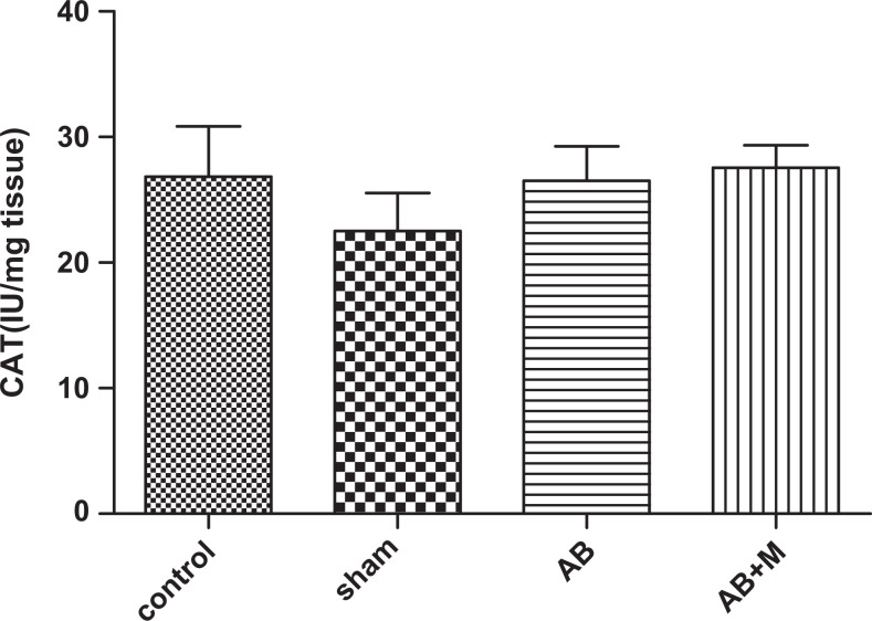 Figure 10.