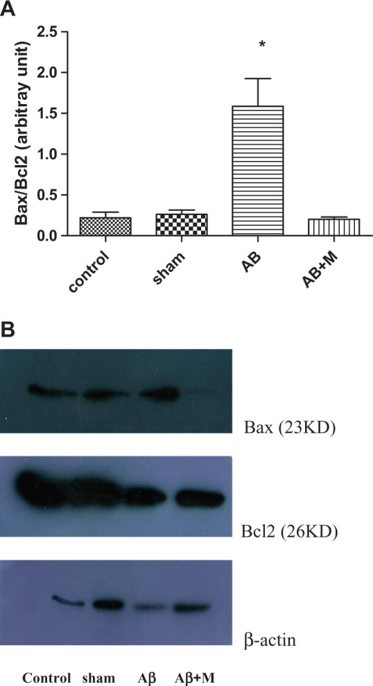 Figure 5.