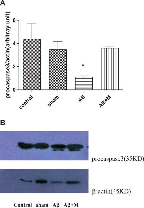 Figure 6.