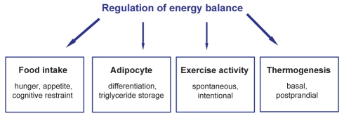 Figure 2)