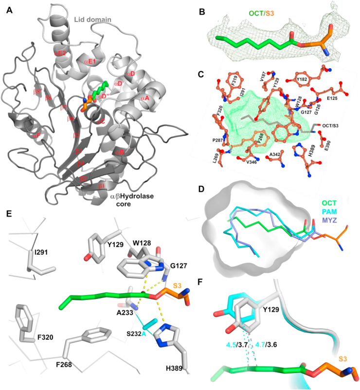 Figure 2