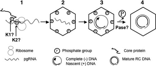 FIG. 8.