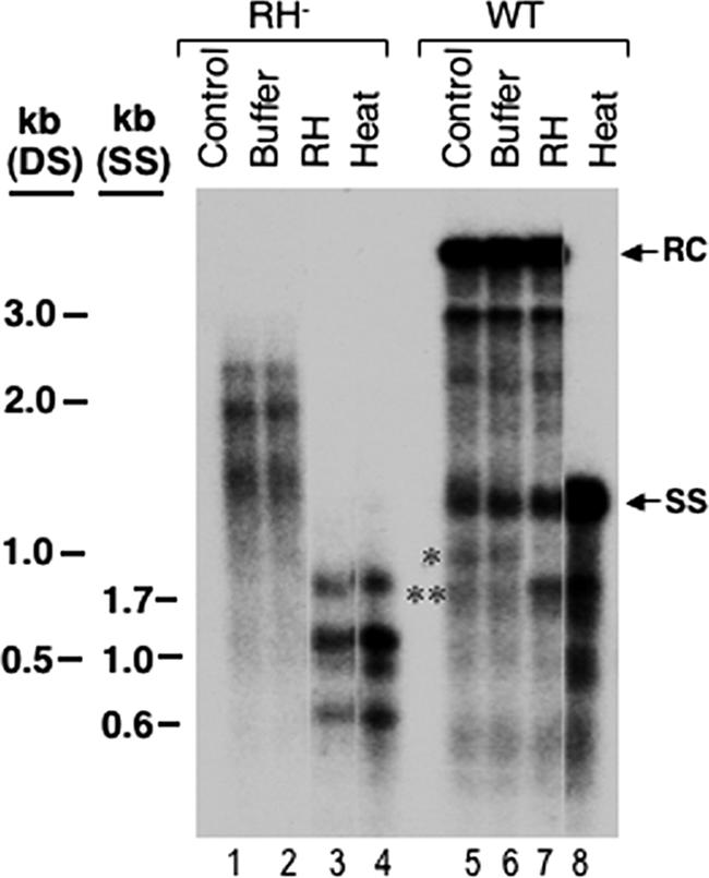 FIG. 7.