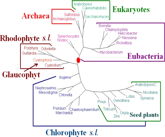 Figure 3.