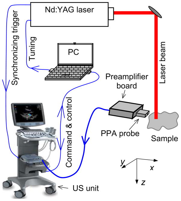 Fig. 1