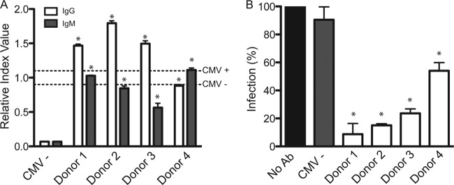 Fig 6