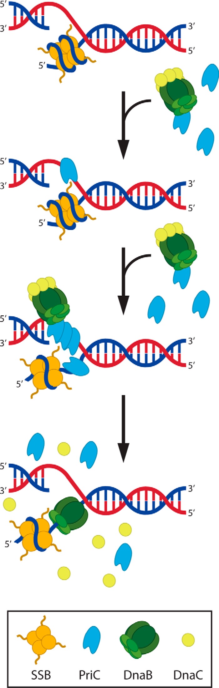 FIGURE 7.