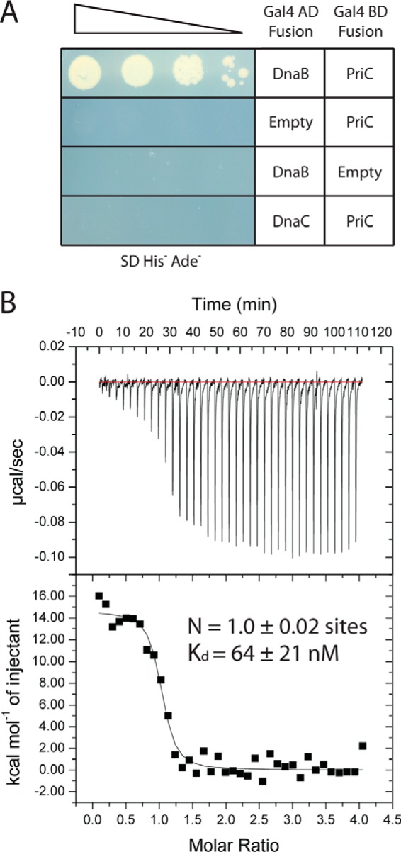 FIGURE 5.