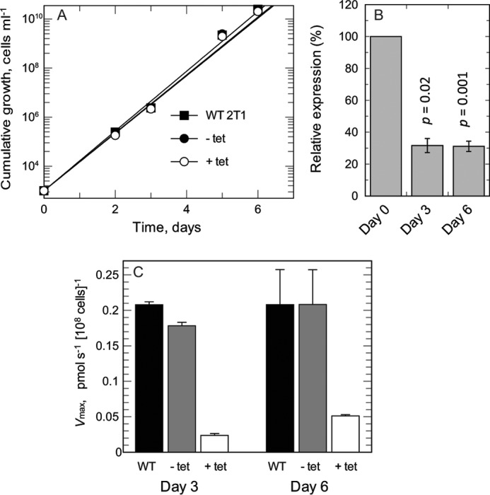 FIGURE 4.