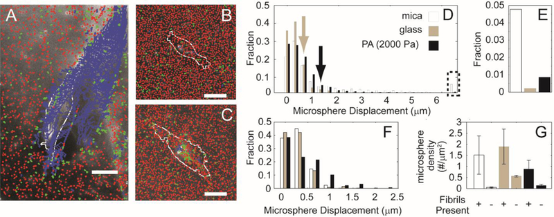 Figure 5: