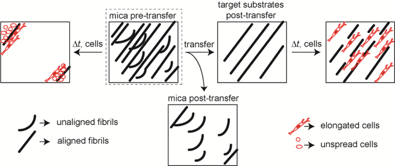 Figure 9: