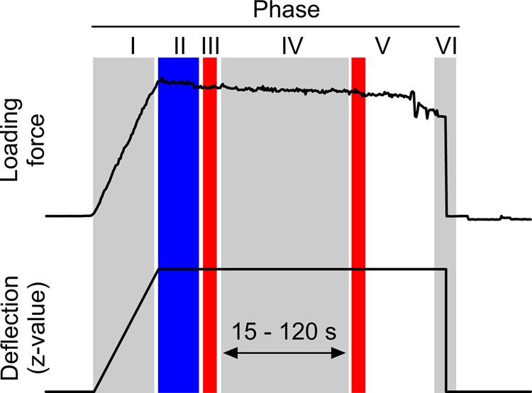 Fig. 10.