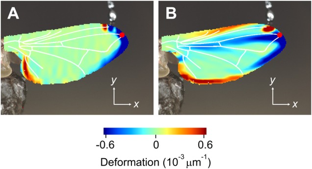 Fig. 8.