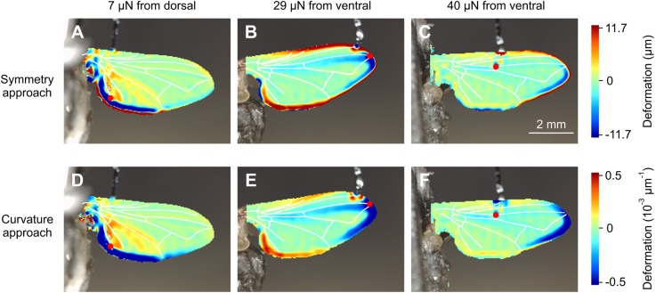 Fig. 7.