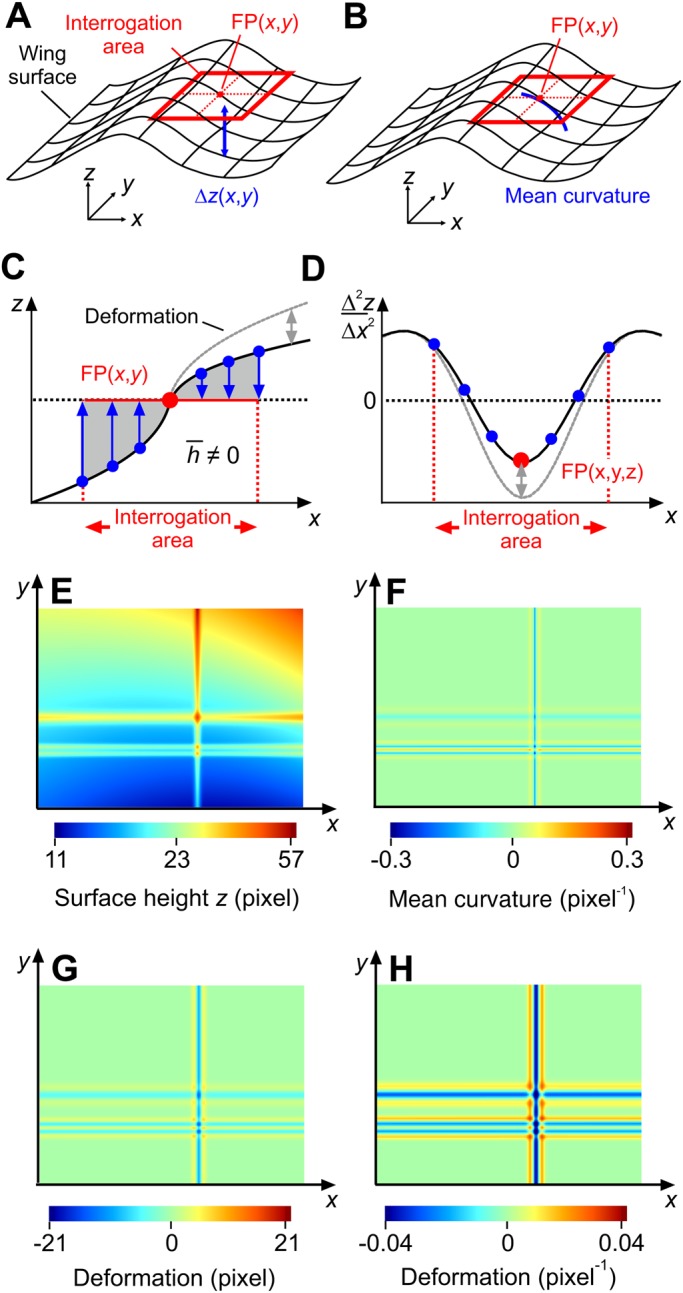 Fig. 11.