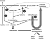 FIG 5