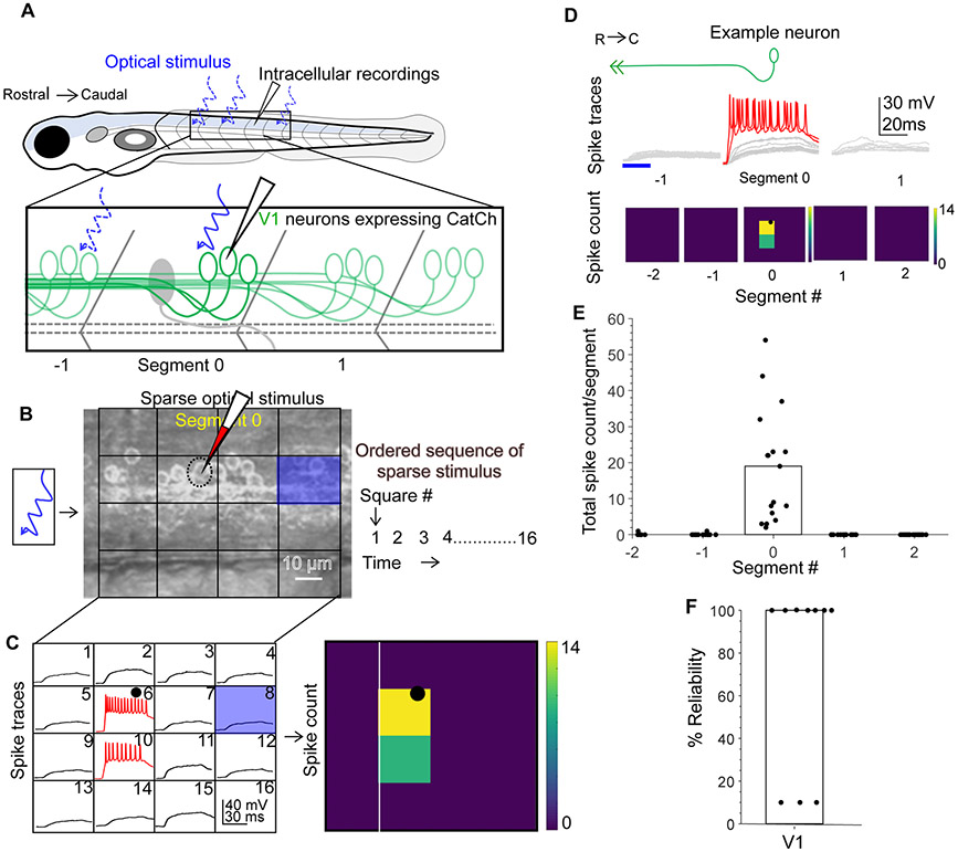 Figure 2: