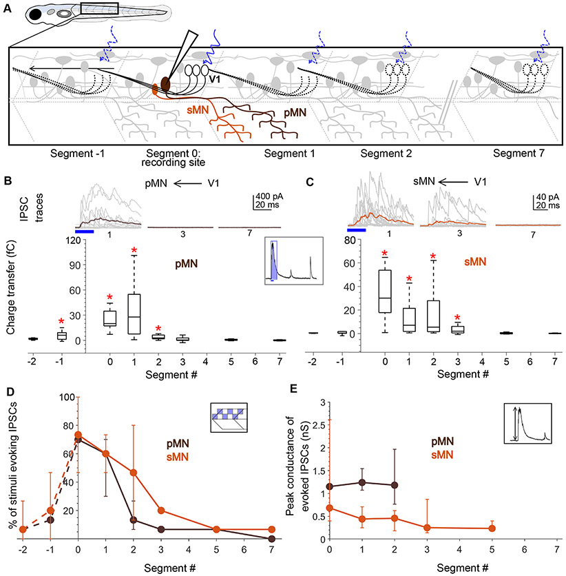 Figure 3: