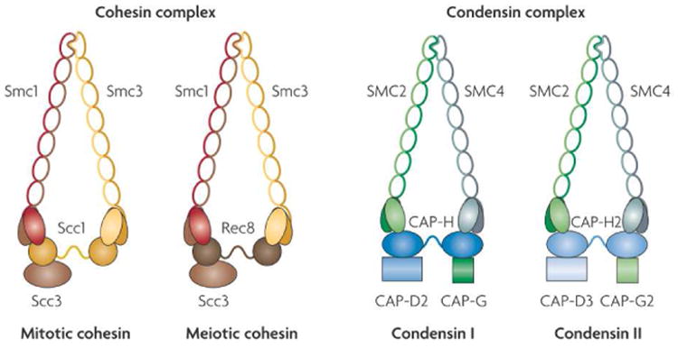 Figure 15