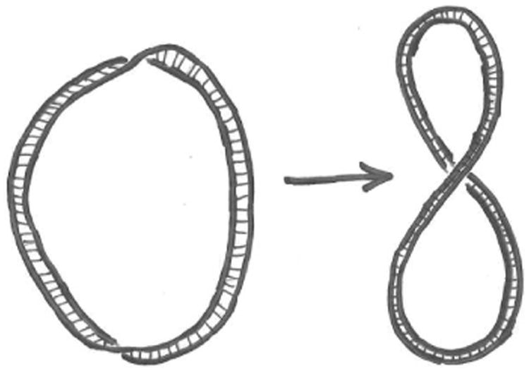 Figure 8