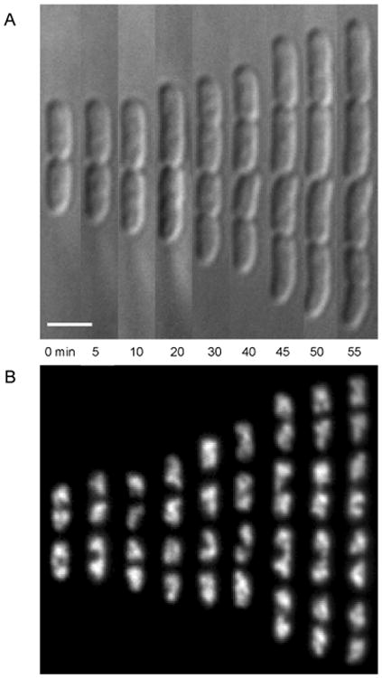 Figure 18